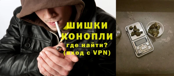 стаф Богданович