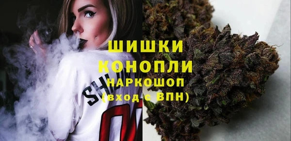 стаф Богданович