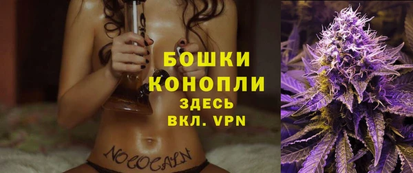 стаф Богданович