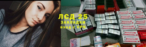 стаф Богданович