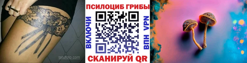 как найти закладки  Череповец  Галлюциногенные грибы Psilocybe 